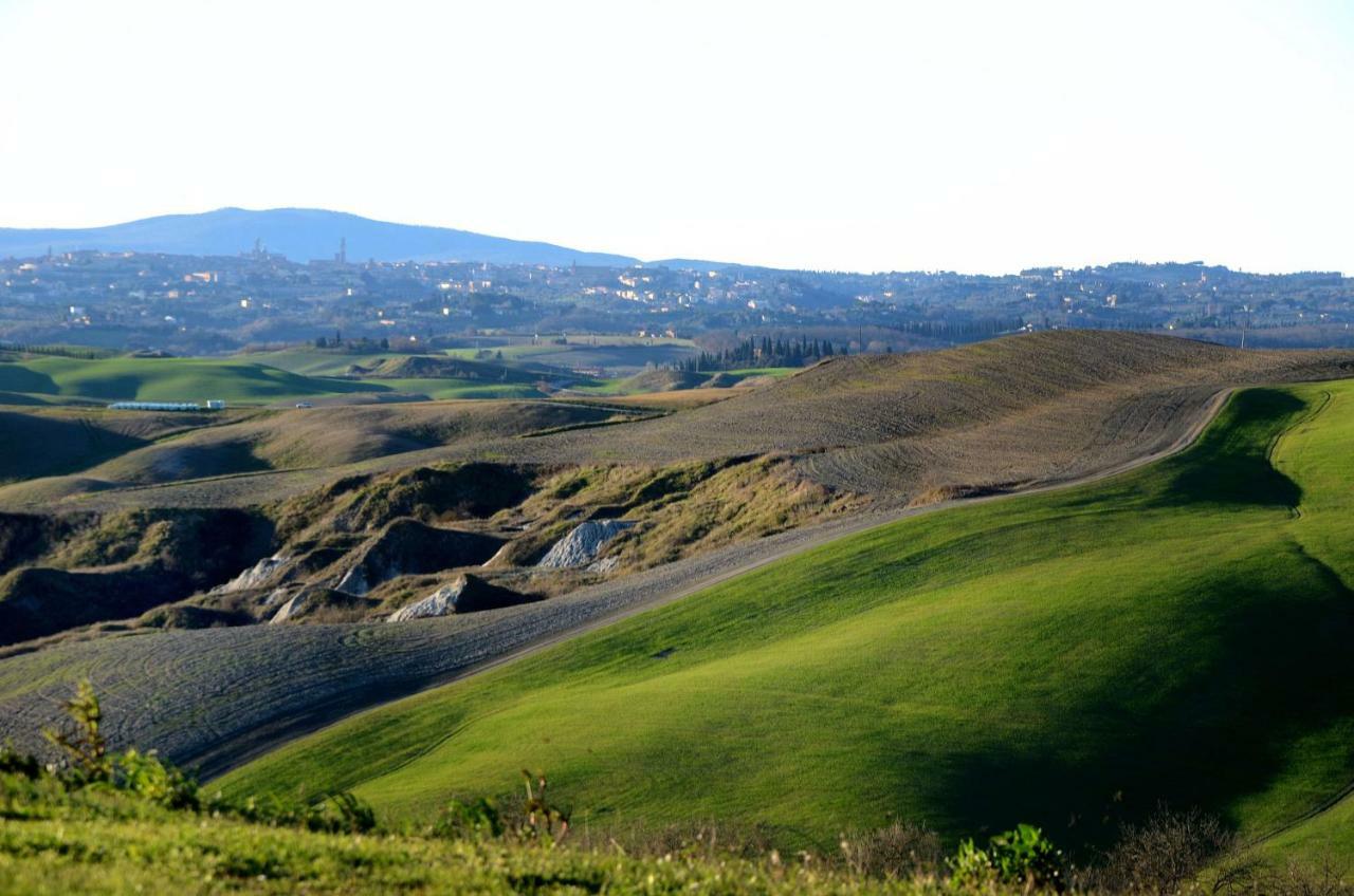 Podere Il Granaio - Crete Senesi - Tuscany Siena Exterior photo