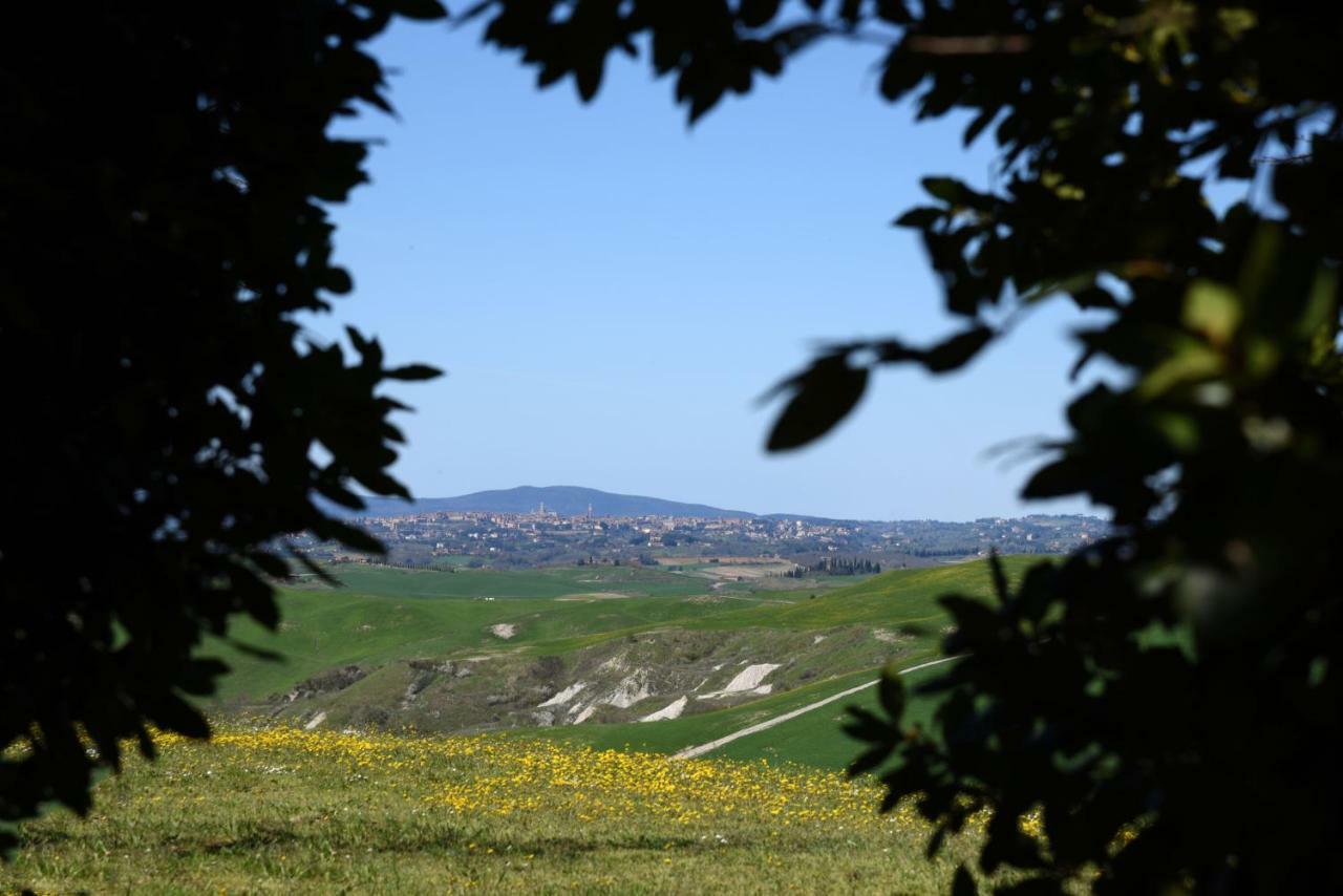 Podere Il Granaio - Crete Senesi - Tuscany Siena Exterior photo